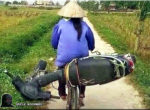 Meanwhile in Vietnam