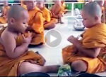 Little monks