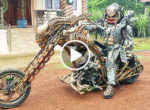 Thai bike predator