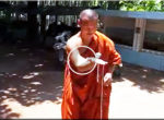 Monk and spinning top