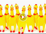 Plastic chickens sing