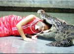 Playing with crocodile
